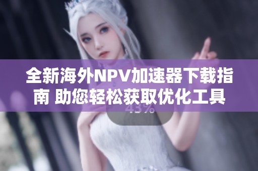 全新海外NPV加速器下载指南 助您轻松获取优化工具