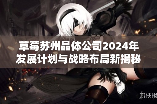 草莓苏州晶体公司2024年发展计划与战略布局新揭秘