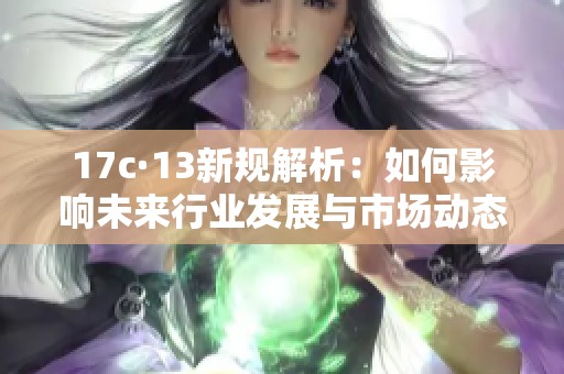 17c·13新规解析：如何影响未来行业发展与市场动态