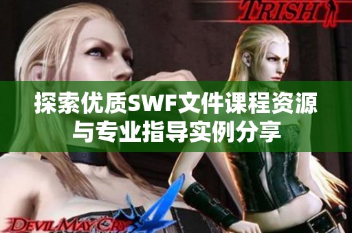 探索优质SWF文件课程资源与专业指导实例分享