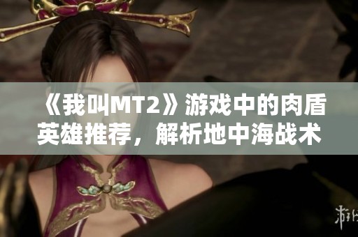 《我叫MT2》游戏中的肉盾英雄推荐，解析地中海战术关键角色