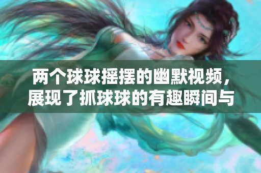 两个球球摇摆的幽默视频，展现了抓球球的有趣瞬间与精彩反应