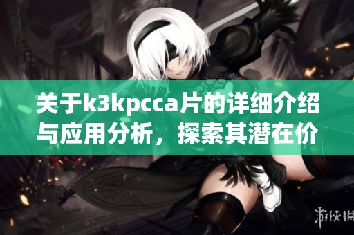 关于k3kpcca片的详细介绍与应用分析，探索其潜在价值与发展方向