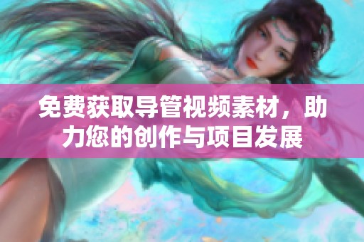 免费获取导管视频素材，助力您的创作与项目发展