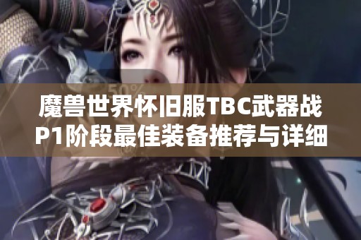 魔兽世界怀旧服TBC武器战P1阶段最佳装备推荐与详细解析