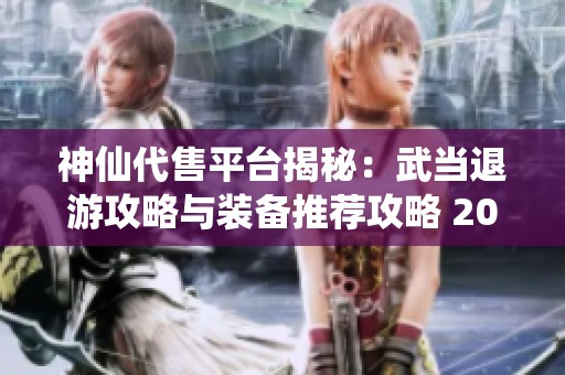 神仙代售平台揭秘：武当退游攻略与装备推荐攻略 20万血气抗击敌人