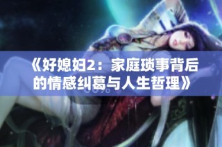 《好媳妇2：家庭琐事背后的情感纠葛与人生哲理》